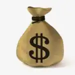 Money Bag